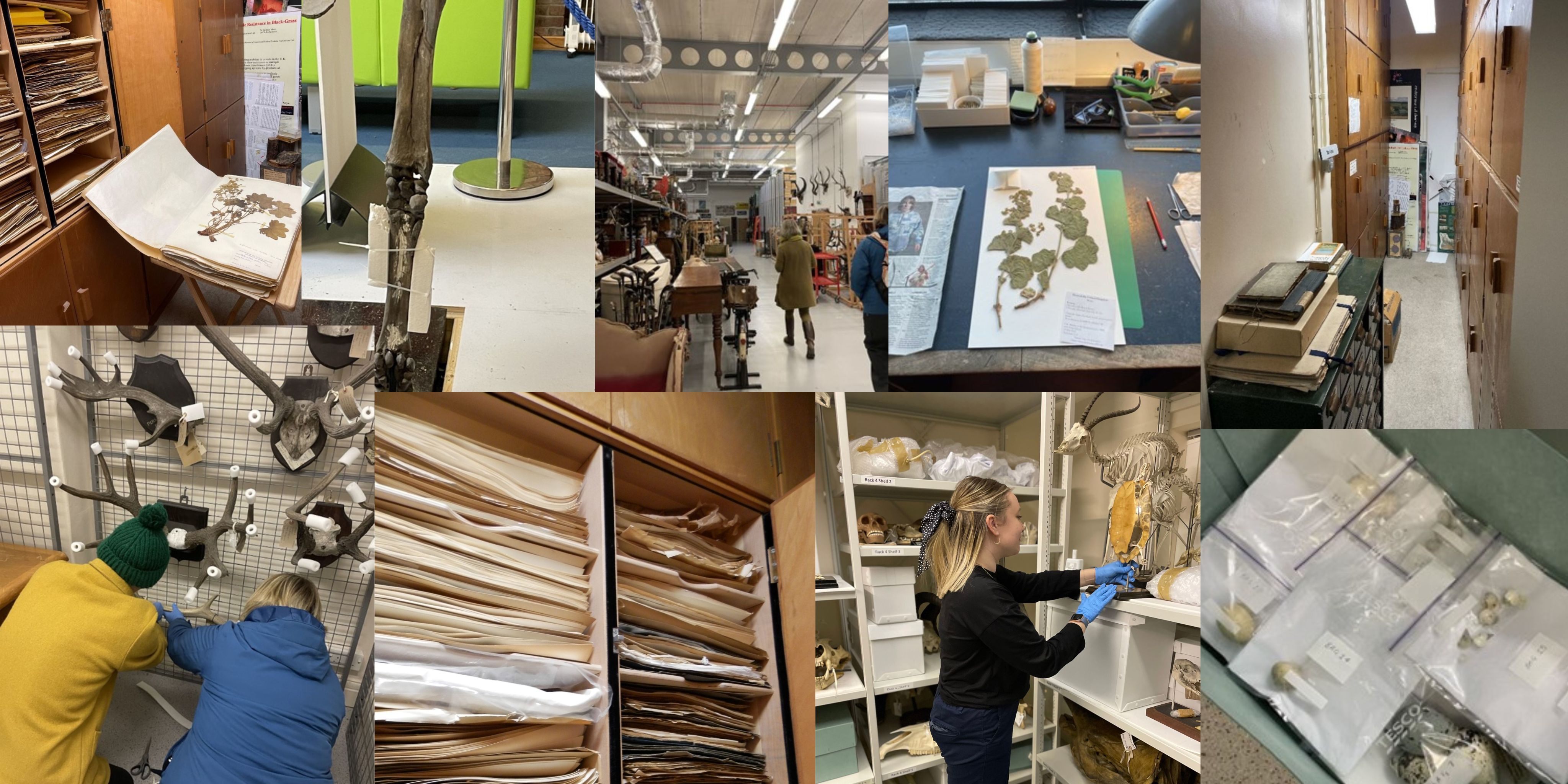 A collage of nine coloured photographs.