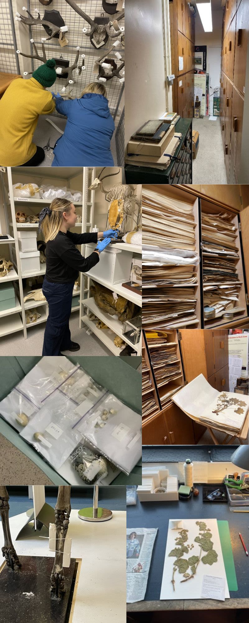 A collage of nine coloured photographs.