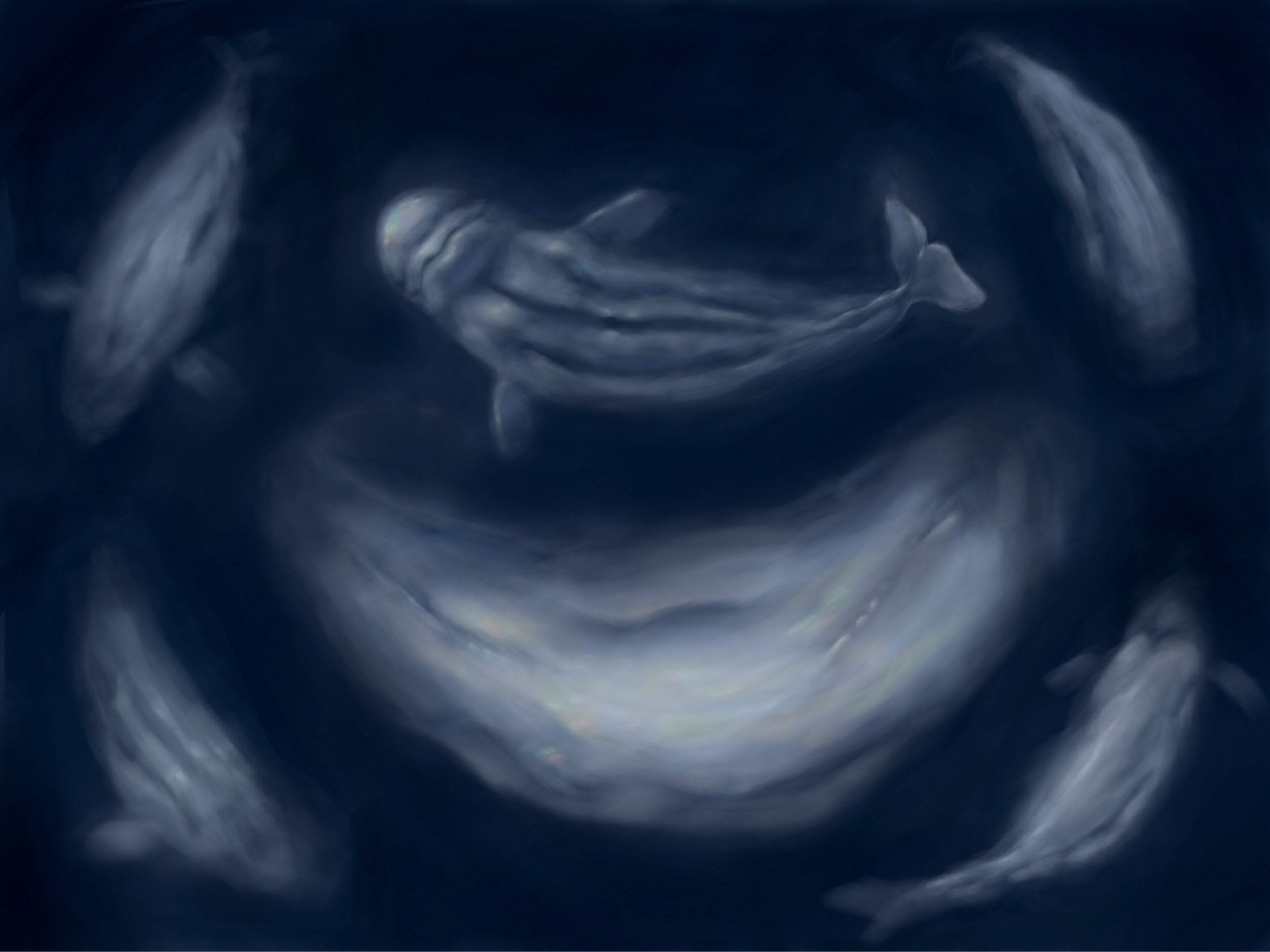 Digital painting showing whales in the water from above 