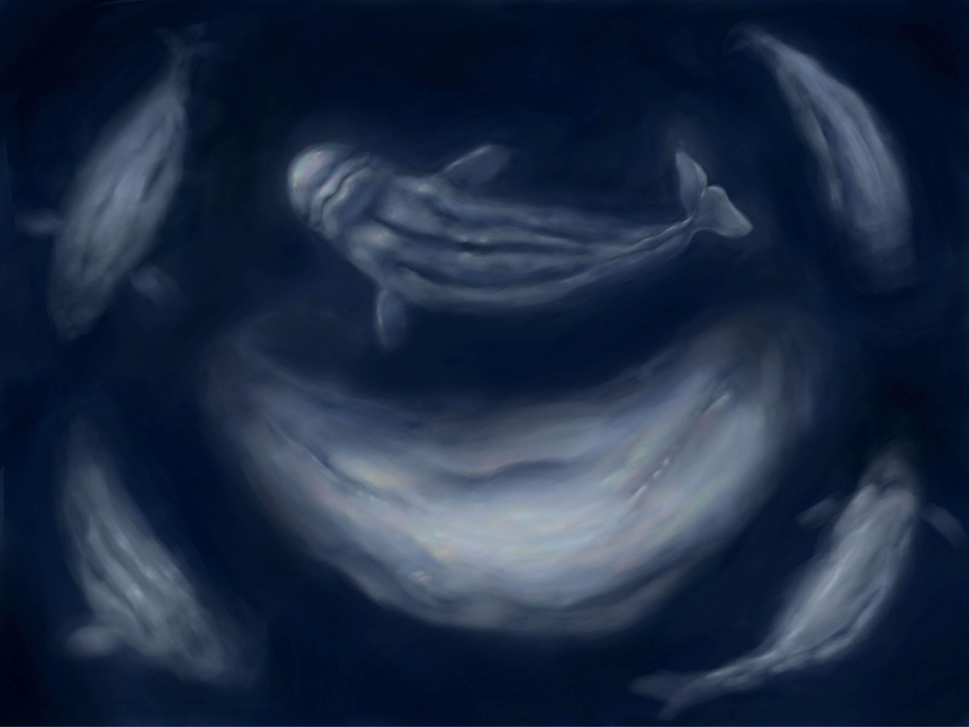Digital painting showing whales in the water from above