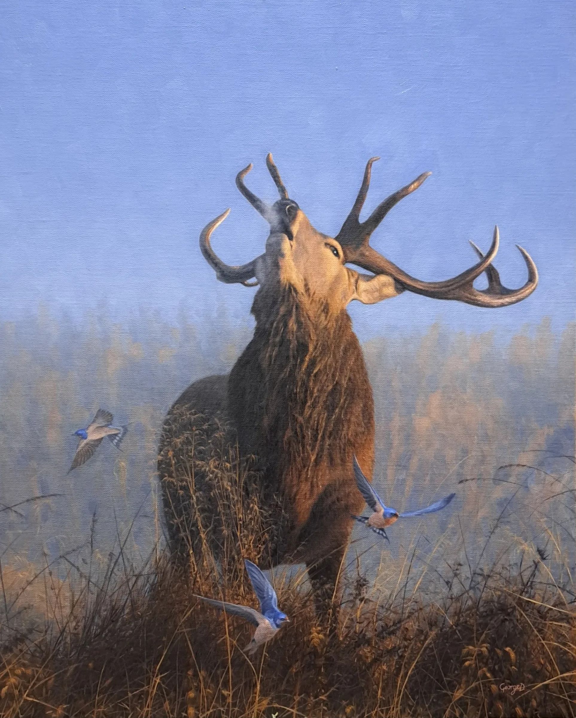 A large stag with its head tilted to the sky, breathes out. You can see the breath as if it it cold. Around the stag, two birds fly.