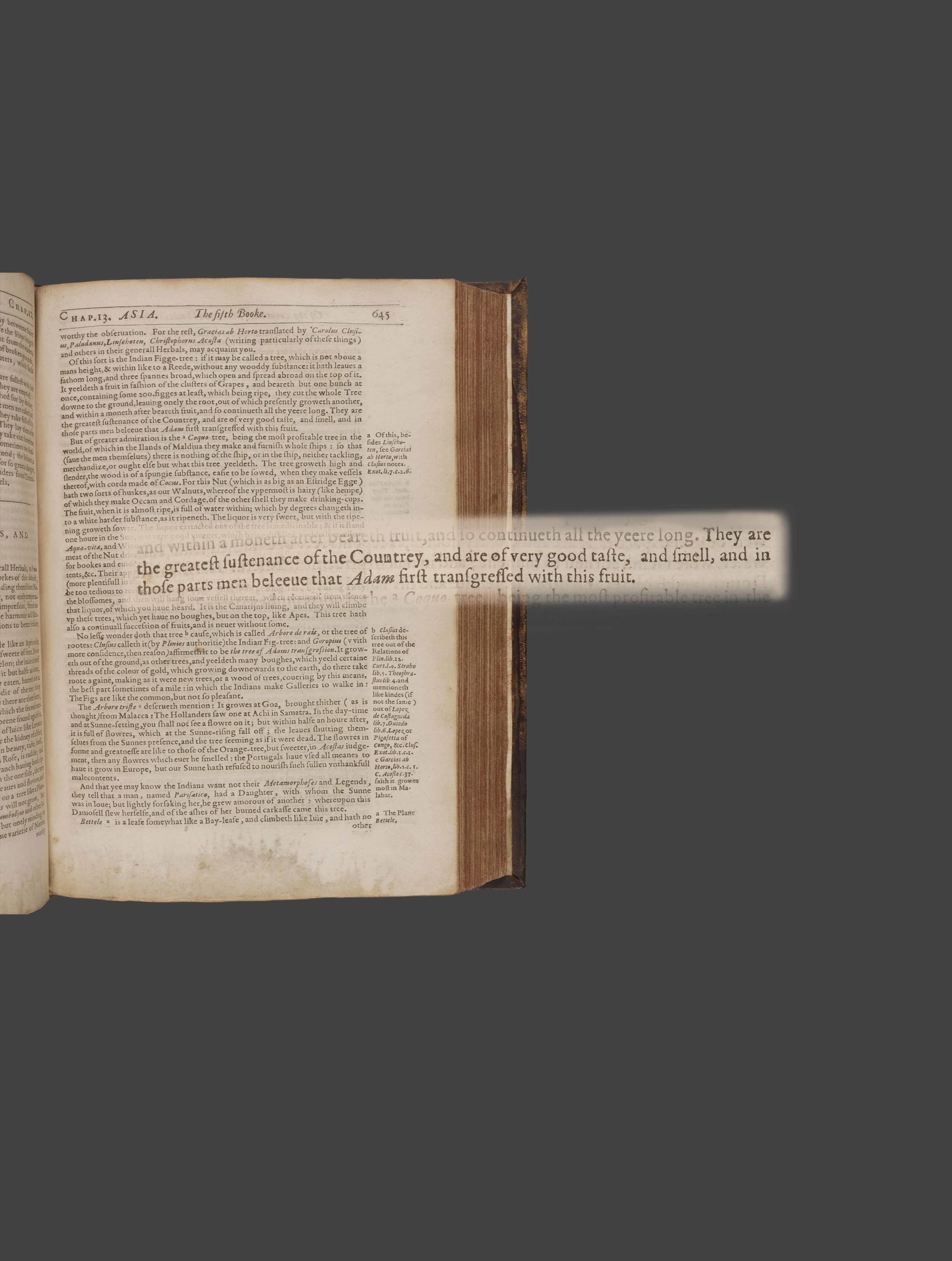 Quote from Purchas' book describing Adam and Eve story from the Bible