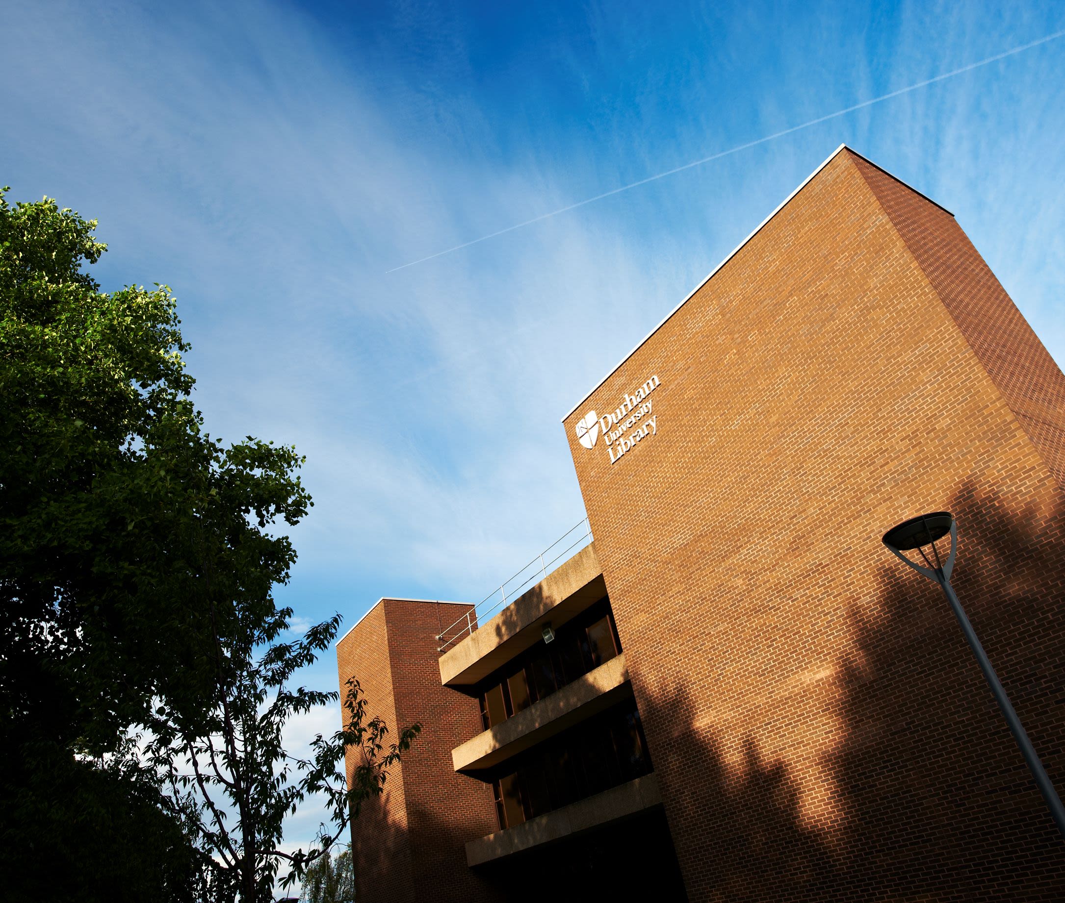 Looking up at Bill Bryson Library