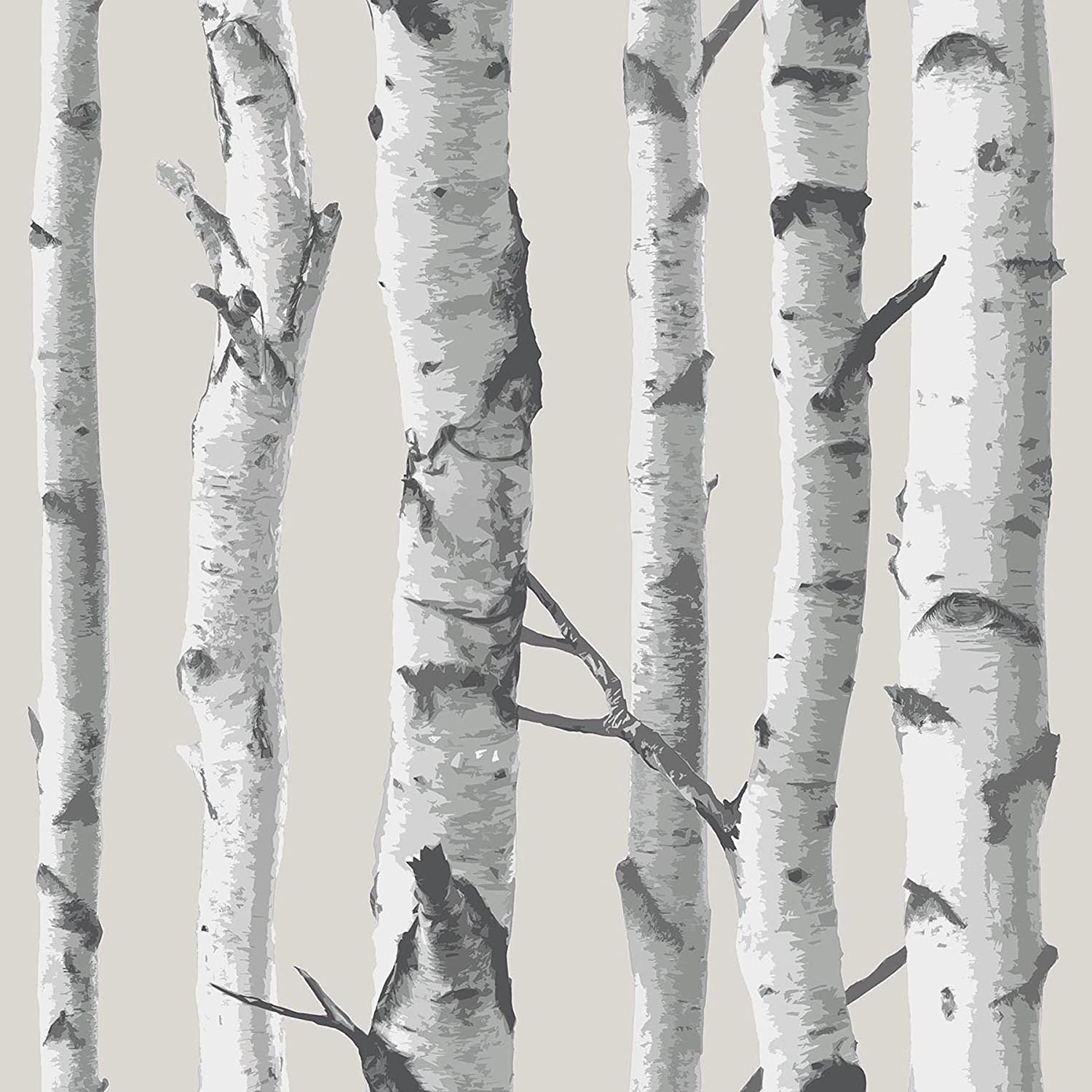 White birch tree trunks on a pale beige background