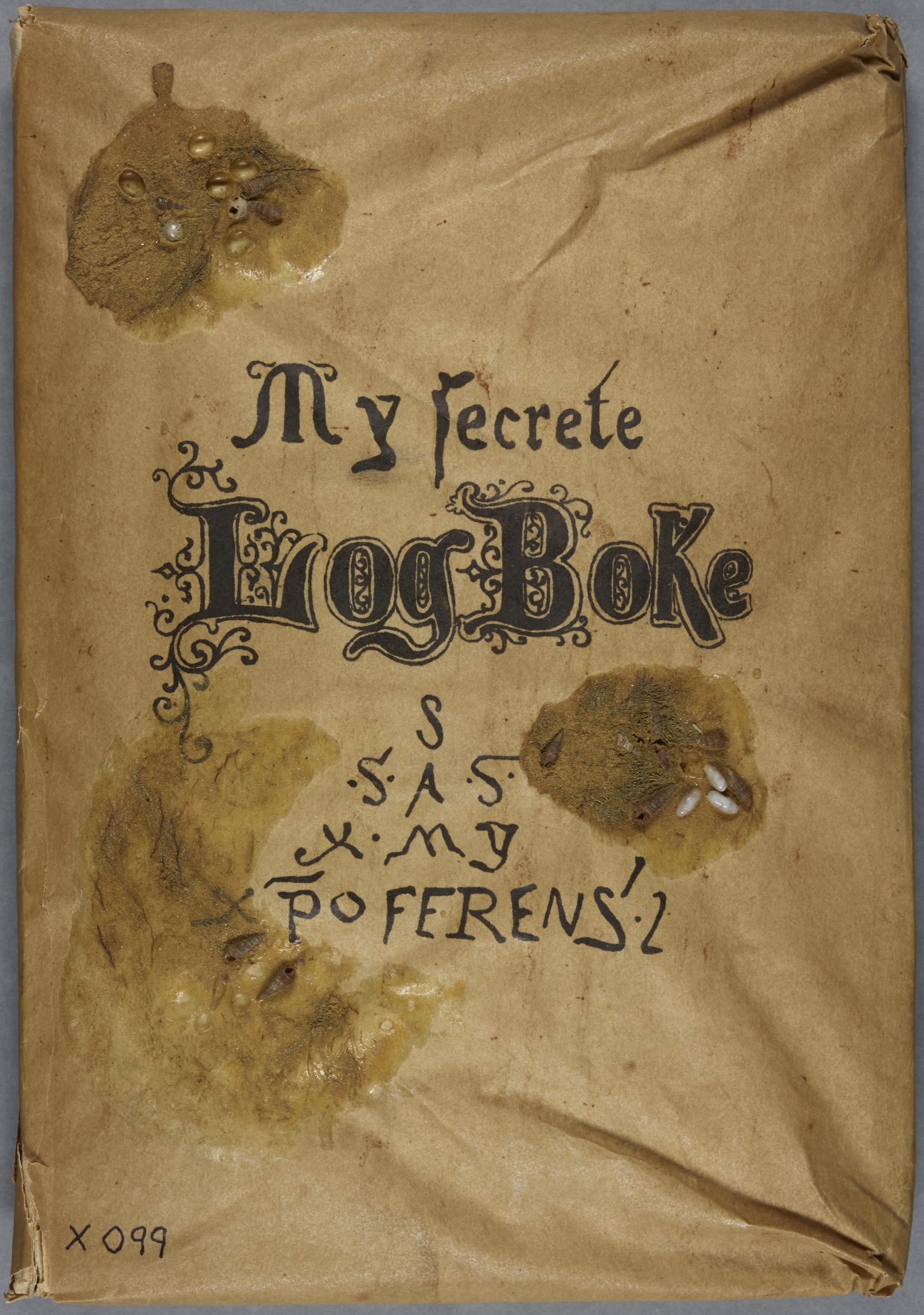 The water damaged cover of My Secret Log Book, with sand and shells attached to the page