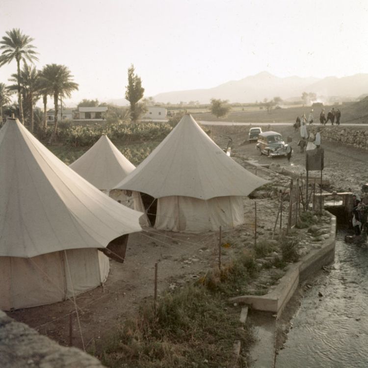Three white tents set up at the camp at Tel es-Sultan with palm trees and mountains in the background