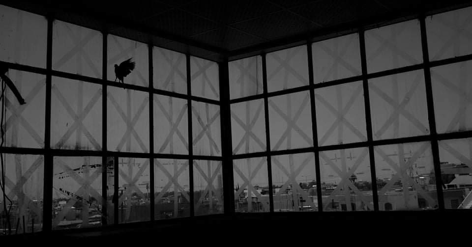 This black and white photograph taken by Shaho Omar is titled Taped. It is overall a very dark image. It shows the corner of a room where two walls of windows meet. All of these windows are taped with crosses to protect them in case of explosions. The city outside the window cannot be seen very clearly other than a bird in one of the top rows towards the left.
