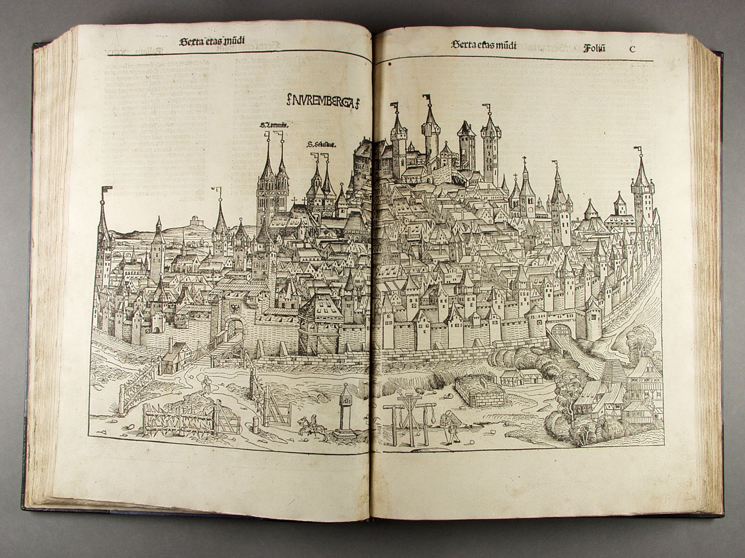 Illustration of the city of Nuremburg from Hartmann Schedel, Liber Chronicarum, 1493